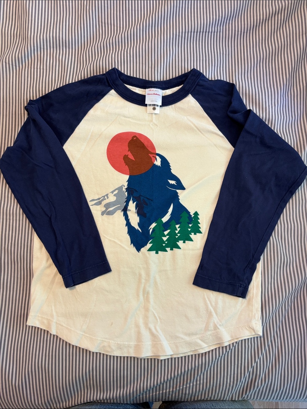 Hanna Andersson Raglan Long Sleeve Top with Howling Wolf Graphic - Navy & Cream